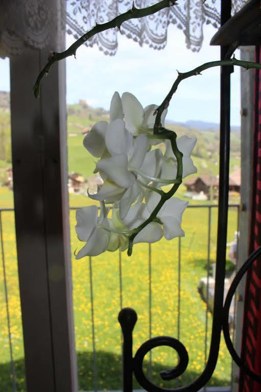 Landgasthof Grossteil Giswil Ngoại thất bức ảnh